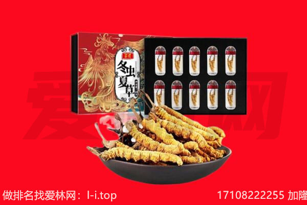 吉安市吉水回收虫草.jpg